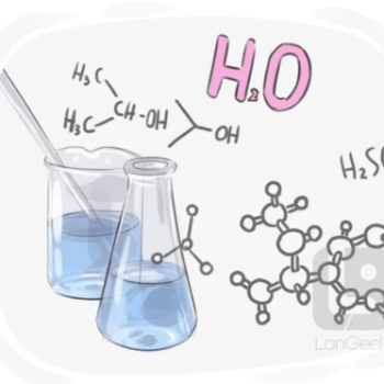 Somaia Mohamed Ahmed